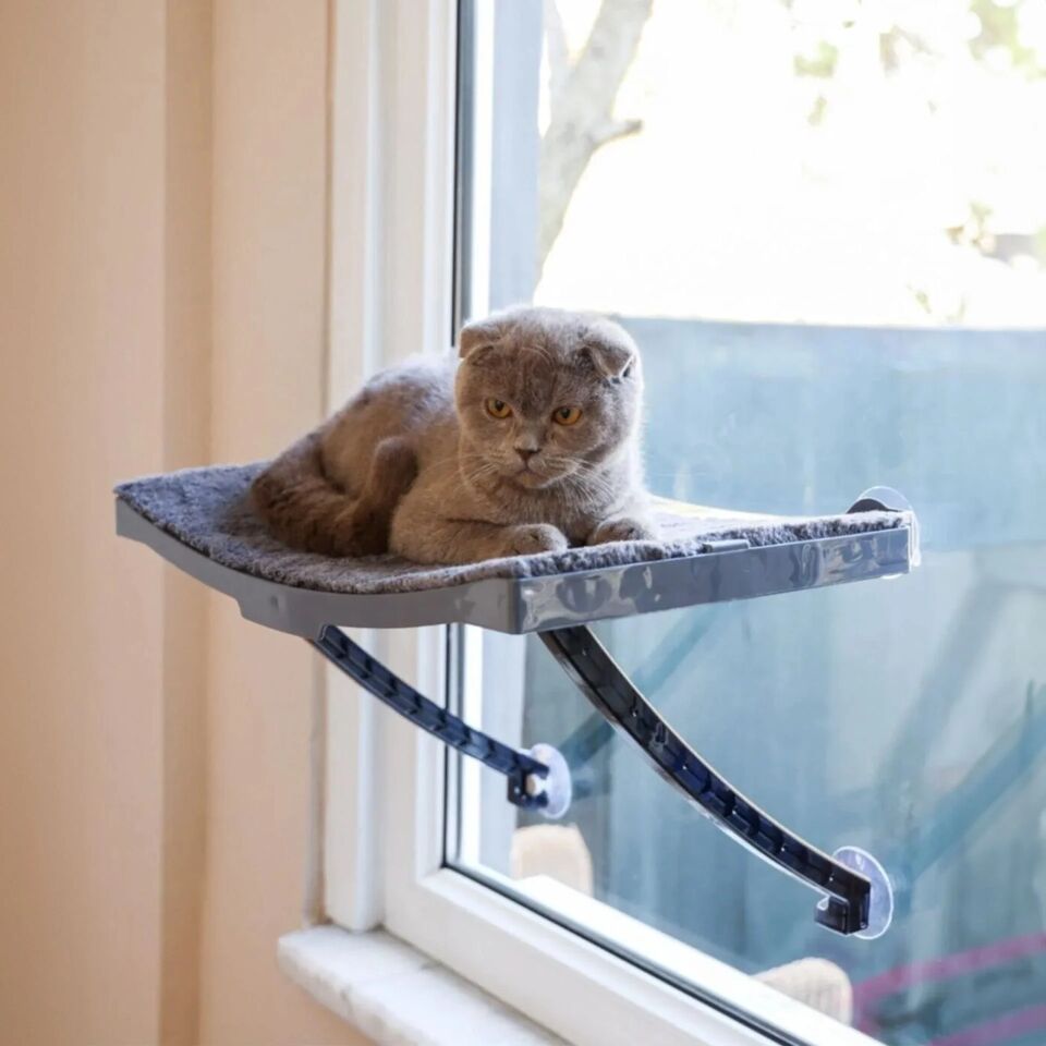 Cama Yapışan Kedi Yatağı