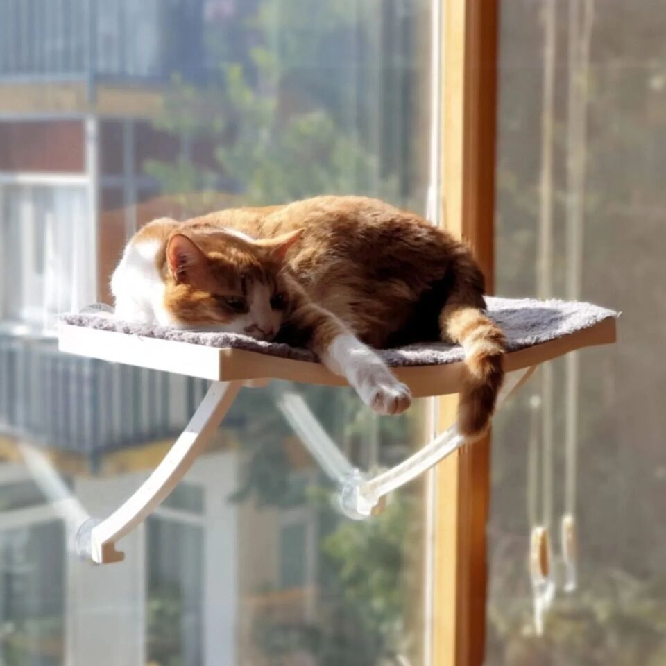 Cama Yapışan Kedi Yatağı