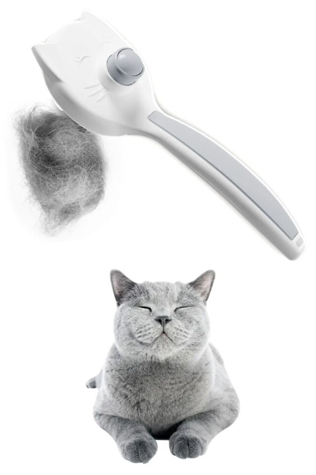 Kedi Tarağı