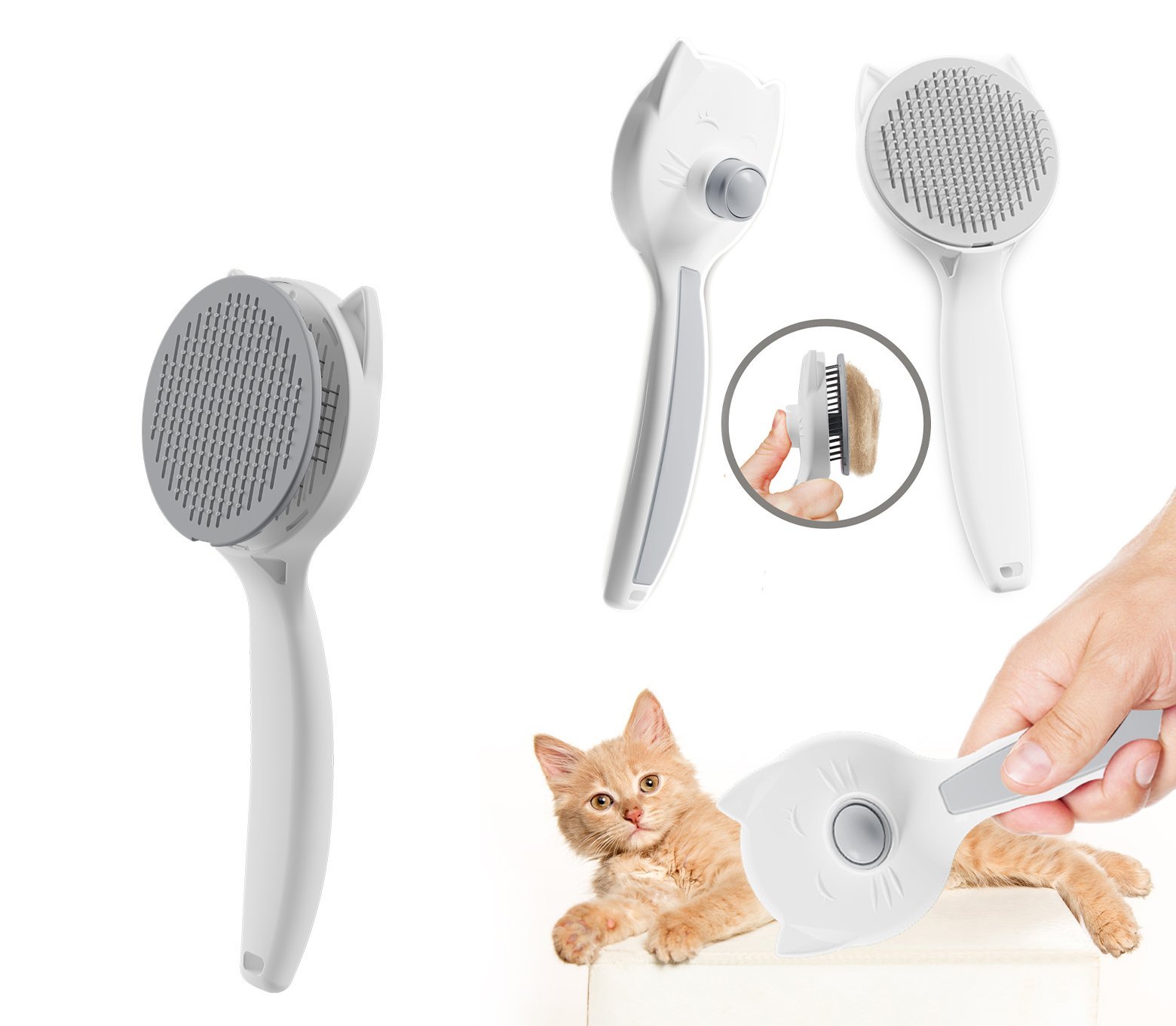 Petshop Aksesuarları